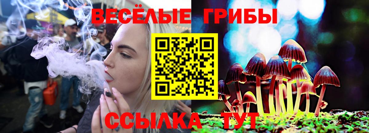 Янаул  Псилоцибиновые грибы MAGIC MUSHROOMS  Псилоцибиновые грибы мицелий  Вход с VPN 